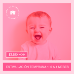Imagen anterior del producto